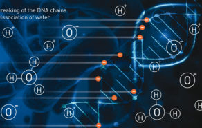 A double action?on micro-organisms
